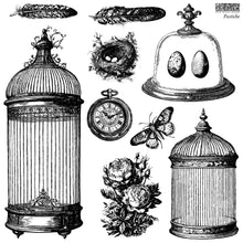 Load image into Gallery viewer, Iron Orchid Design Pastiche Stamp