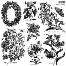Load image into Gallery viewer, Iron Orchid Designs Decor Stamp Natures Etchings