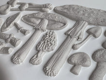 Load image into Gallery viewer, Toadstool Mould by Iron Orchid Design
