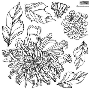 Chrysanthemum Stamp floral