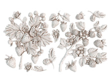 Load image into Gallery viewer, Iron Orchid Designs Wild Berries Mould
