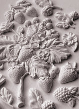 Load image into Gallery viewer, Iron Orchid Designs Wild Berries Mould
