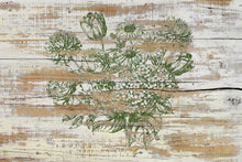 Load image into Gallery viewer, weathered white Barnwood with green floral stamps ￼
