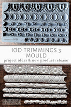 Load image into Gallery viewer, Iron Orchid Design Trimmings 3 Mould
