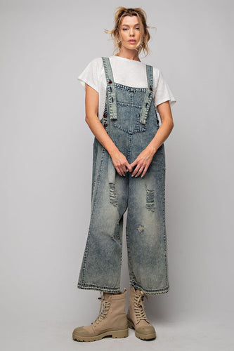 Full from view lady in overalls