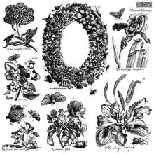 Load image into Gallery viewer, Iron Orchid Designs Decor Stamp Natures Etchings
