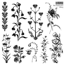 Load image into Gallery viewer, Iron Orchid Designs Mini Stamps The Connoisseur's Library
