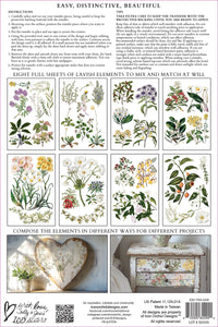 Iron Orchid Designs Transfer Sarah Featon's Botanicals