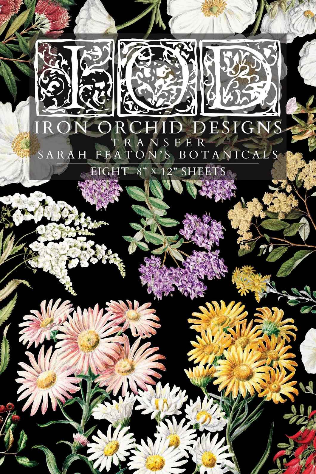 Iron Orchid Designs Transfer Sarah Featon's Botanicals