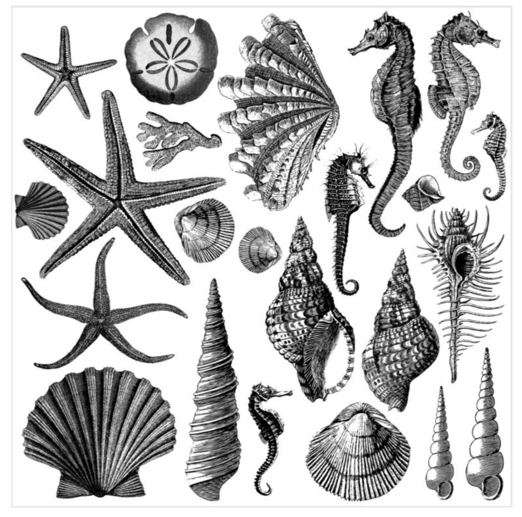 Iron Orchid Designs IOD Stamp Seashores