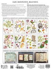Load image into Gallery viewer, Iron Orchid Design Transfer Whispering Willow
