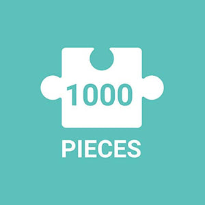1000 pieces