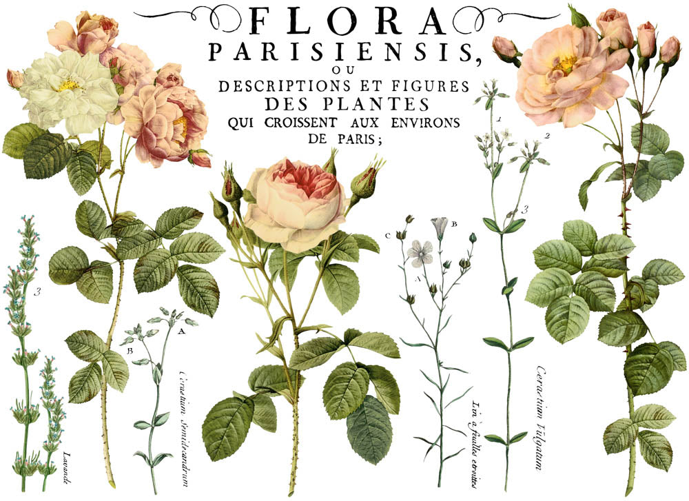 Flora Parisiensis