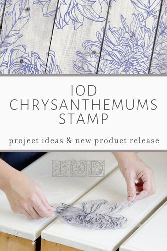 Chrysanthemum Stamp  